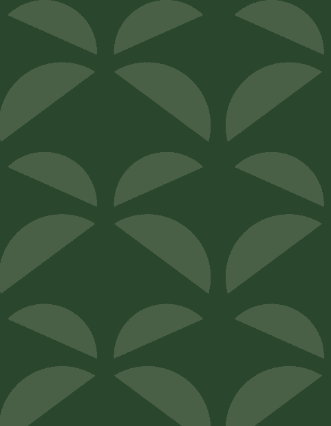 Palm pattern